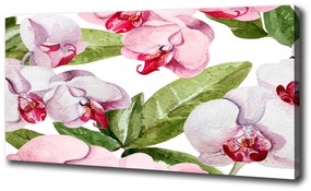 Fali vászonkép Rózsaszín orchideák oc-98952398