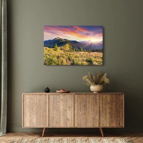 Kép - Erdei táj (90x60 cm)