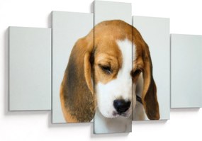 Beagle képe (150x105 cm)