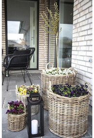 Caor kosarak, kubu rattan, natúr 4 db