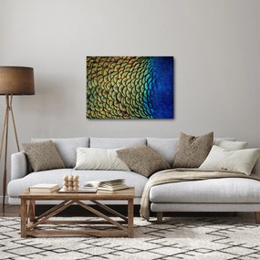 Kép - Pávatollak (70x50 cm)