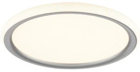 Brilliant - LED fényerőszabályozható mennyezeti lámpa CARLOZ LED/16W/230V átm. 30 cm fehér