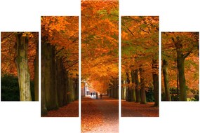 Kép - A Avenue of fák ősszel (150x105 cm)