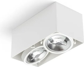 RENDL JAMES II DIMM stropní matná bílá 230V LED 2x15W 24° 3000K