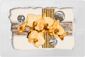 Poszter 60x40 Narancssárga orchidea