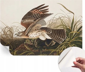 Design fali fotótapéta öntapadós szárnyas szépség 104x70 cm