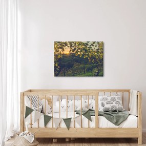 Kép - szőlőültetvény (70x50 cm)
