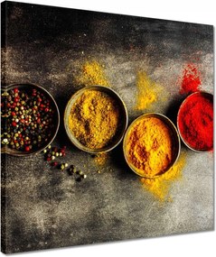 Vászonkép 40x40 Fűszerek a természetből Természet