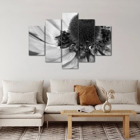 Kép - Virág fekete-fehérben (150x105 cm)