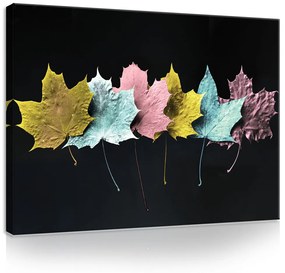 Vászonkép, Szines levelek, 60x40 cm méretben