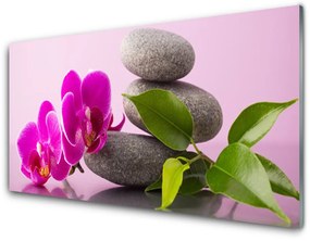 Fali üvegkép Zen Virág orchidea növény 120x60cm 2 fogas