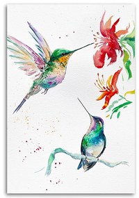 Gario Vászonkép Kolibri - Dorota Martynska Méret: 70 x 100 cm