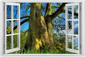 Poszterek 120x80 Erős fa