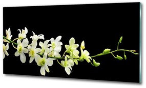 Egyedi üvegkép Orchidea osh-4005190