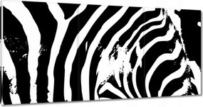 Vászonkép 60x30 Zebra csíkos kisállat