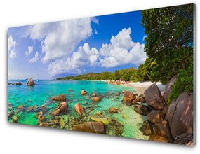 Üvegfotó Sea Beach Landscape 125x50 cm
