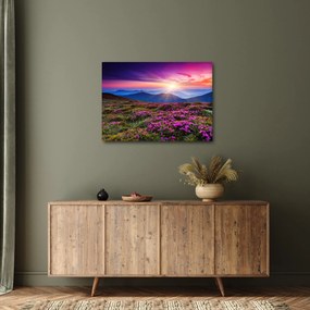 Kép - Hegyi virágzó táj (70x50 cm)