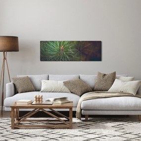 Kép - Fenyőfa részlete (órával) (90x30 cm)
