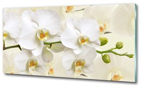 Egyedi üvegkép Orchidea osh-123330197