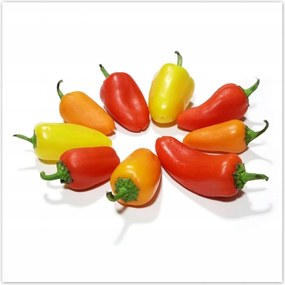 Poszterek 100x100 Gránátalma paprika