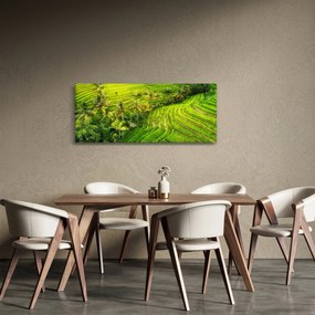 Kép - Rizs teraszok (120x50 cm)