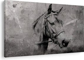 Kép - Egy ló portréja (90x60 cm)