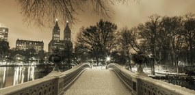 Poszter 91,3x44,5cm Central Park Bow Bridge Manhattan panorámával, Assaf Fra