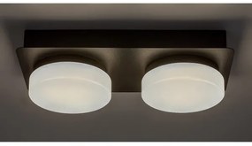 Rabalux 75002 - LED fürdőszobai mennyezeti lámpa ATTICHUS 2xLED/5,5W/230V IP44