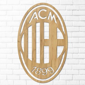 Focicsapat logója a falra - ACM