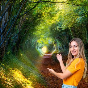 3D fotótapéta Nappali Hálószoba Erdő Fák Nap 392x260 P08F