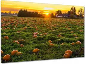 Festmények 120x80 Tájkép Látvány