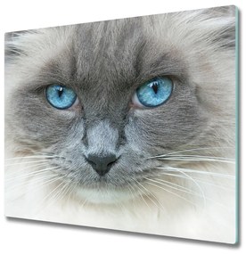 Üveg vágódeszka Cat kék szem 60x52 cm