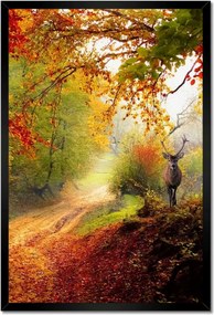 Poszterek keretben 40x60 Szarvas az erdőben