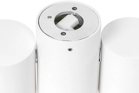 Design spotlámpa fehér 2-lámpás állítható - Michael