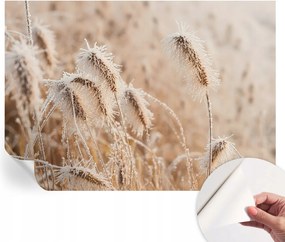 Dekoratív öntapadós fotótapéta Hálószobába Téli tájkép 312x219 cm