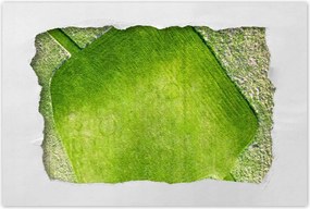 Poszterek 120x80 Fű mező rét út