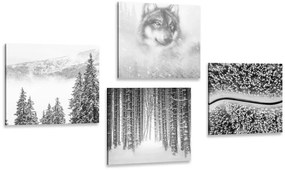 Képszett farkas a titokzatos erdőben fekete-fehér változatban - 4x 60x60