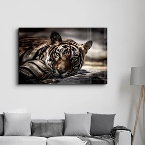 Üvegkép, 46×72 cm – CAM-1057