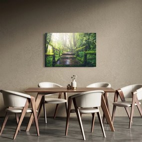 Kép - falépcsők az erdőben (90x60 cm)