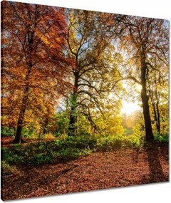 Vászonkép 60x60 Tájkép