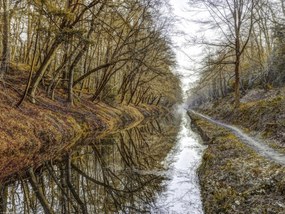 Poszter 40x30cm Csatorna az erdőben, Assaf Frank