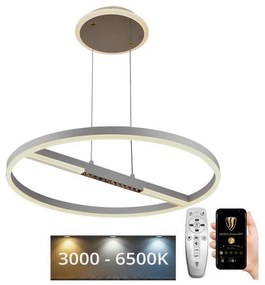 NEDES LED Dimmelhető csillár zsinóron LED/75W/230V 3000-6500K + távirányítás ND4012