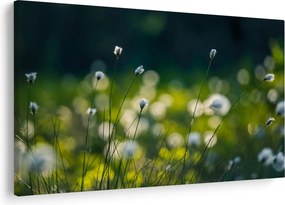 Kép - Fű (90x60 cm)