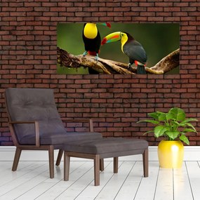 Ülő tukánok képe, Costa Rica (120x50 cm)