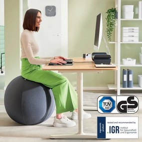 Ergonomikus ülőlabda súllyal ø 75 cm Ergo – Leitz