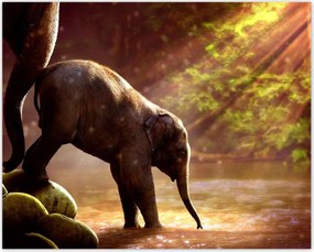 Poszterek 50x40 Anya csak egy van