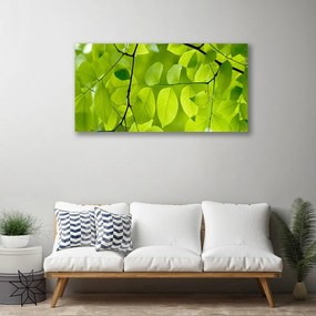 Vászonkép falra Elhagyja Plant 140x70 cm