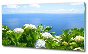 Üvegfotó Virágok a tengerparton osh-87726143
