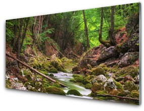 Akril üveg kép Forest Moss Természet 120x60 cm 2 fogas