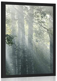 Poszter napsugarak a ködös erdőben